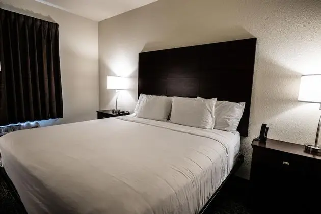 Oda, 1 En Büyük (King) Boy Yatak, Engellilere Uygun, Sigara İçilmez (Guestroom)
