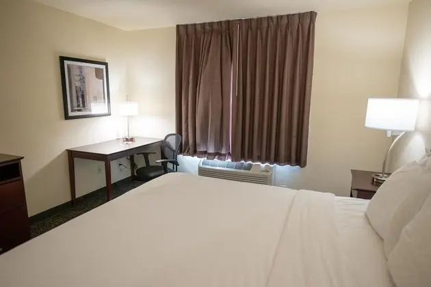 Oda, 1 En Büyük (King) Boy Yatak, Engellilere Uygun, Sigara İçilmez (Guestroom)