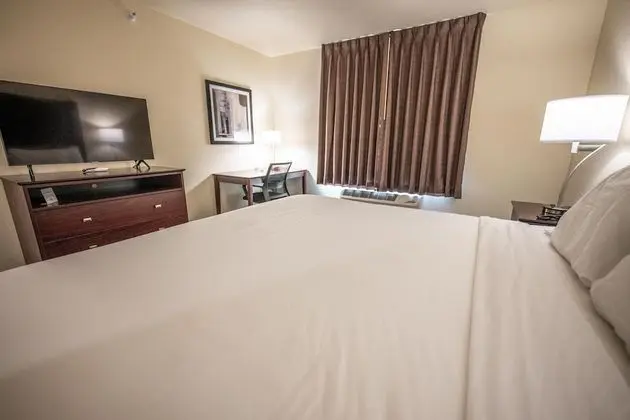 Oda, 1 En Büyük (King) Boy Yatak, Engellilere Uygun, Sigara İçilmez (Guestroom)