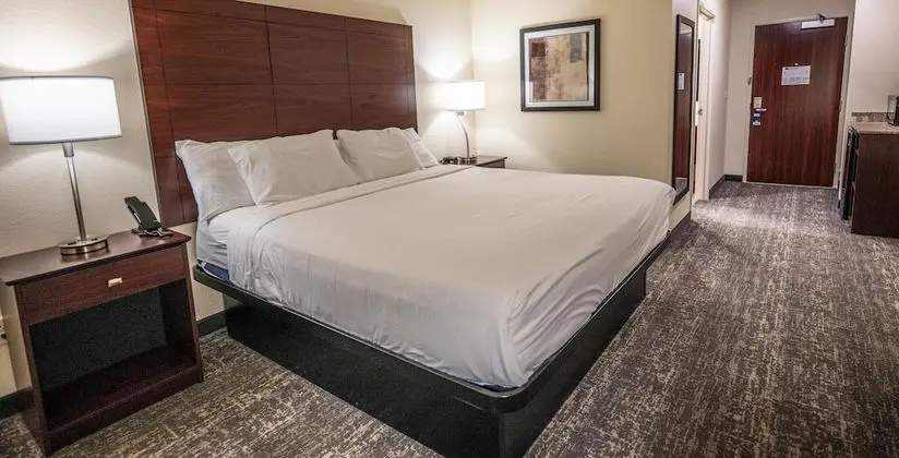 Oda, 1 En Büyük (King) Boy Yatak, Engellilere Uygun, Sigara İçilmez (Guestroom)