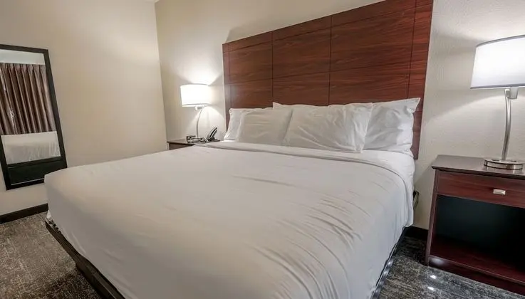 Oda, 1 En Büyük (King) Boy Yatak, Engellilere Uygun, Sigara İçilmez (Guestroom)