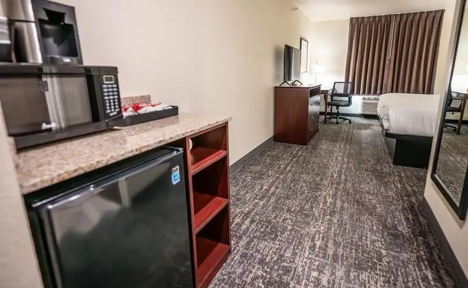Oda, 1 En Büyük (King) Boy Yatak, Engellilere Uygun, Sigara İçilmez (Guestroom)