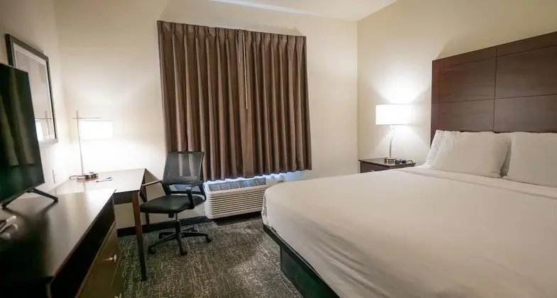 Oda, 1 En Büyük (King) Boy Yatak, Engellilere Uygun, Sigara İçilmez (Guestroom)
