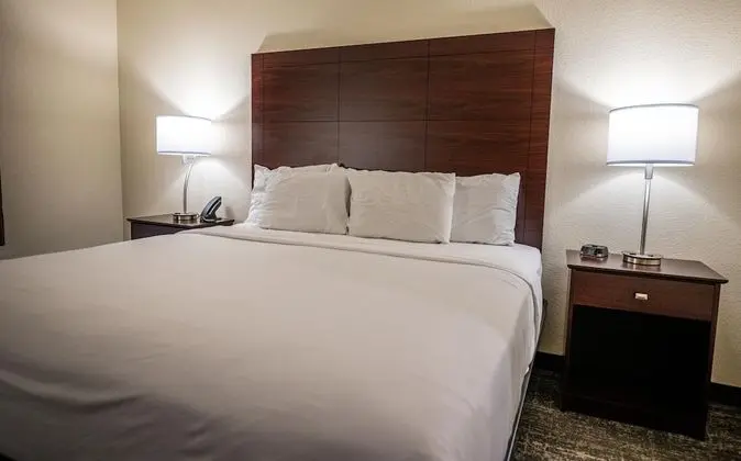 Oda, 1 En Büyük (King) Boy Yatak, Engellilere Uygun, Sigara İçilmez (Guestroom)