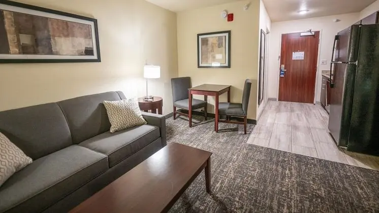 Süit, 1 En Büyük (King) Boy Yatak ve Çekyat, Engellilere Uygun, Sigara İçilmez (Extended Stay Suite)