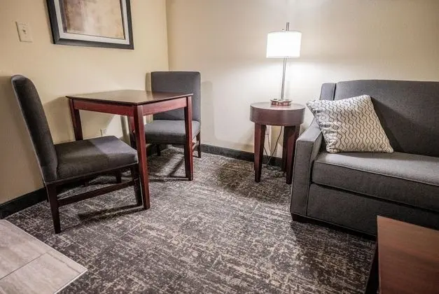 Süit, 1 En Büyük (King) Boy Yatak ve Çekyat, Engellilere Uygun, Sigara İçilmez (Extended Stay Suite)