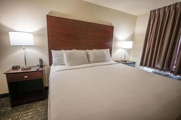 Süit, 1 En Büyük (King) Boy Yatak ve Çekyat, Engellilere Uygun, Sigara İçilmez (Extended Stay Suite)