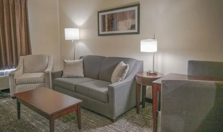 Süit, 1 En Büyük (King) Boy Yatak ve Çekyat, Engellilere Uygun, Sigara İçilmez (Extended Stay Suite)