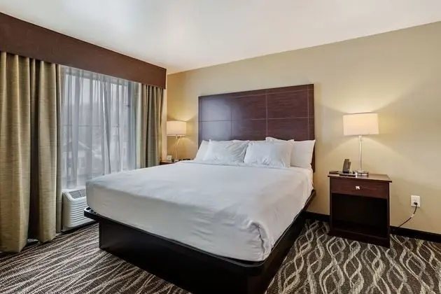 Süit, 1 En Büyük (King) Boy Yatak ve Çekyat, Engellilere Uygun, Sigara İçilmez (Extended Stay)