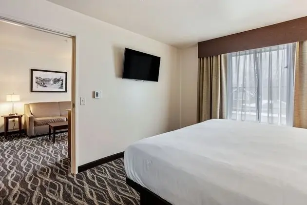 Süit, 1 En Büyük (King) Boy Yatak ve Çekyat, Engellilere Uygun, Sigara İçilmez (Extended Stay)