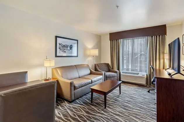 Süit, 1 En Büyük (King) Boy Yatak ve Çekyat, Engellilere Uygun, Sigara İçilmez (Extended Stay)