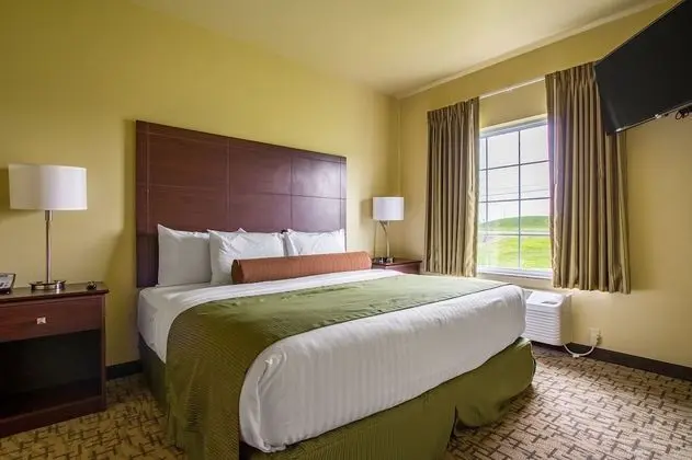 Suite, 1 King Bed with Sofa bed, Non Smoking