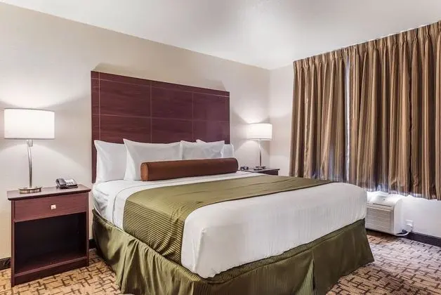 Süit, 1 En Büyük (King) Boy Yatak ve Çekyat, Sigara İçilmez (Extended Stay)