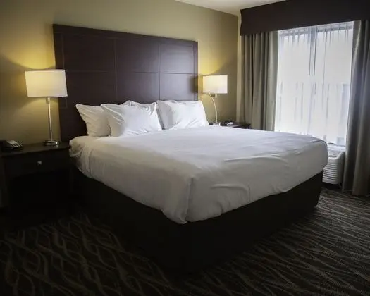 Oda, 1 En Büyük (King) Boy Yatak, Sigara İçilmez