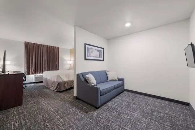 Studio, 1 King Bed with Sofa Bed, Non Smoking