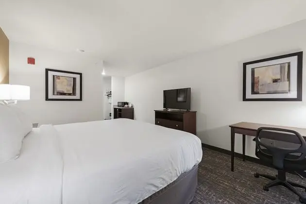 Studio, 1 King Bed with Sofa Bed, Non Smoking