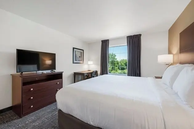 Studio, 1 King Bed with Sofa Bed, Non Smoking