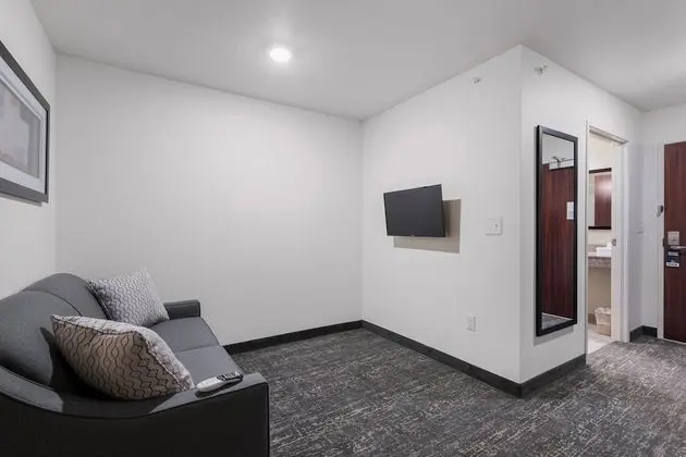 Studio, 1 King Bed with Sofa Bed, Non Smoking
