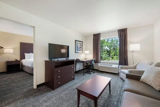 Suite, 1 King Bed with Sofa bed, Non Smoking