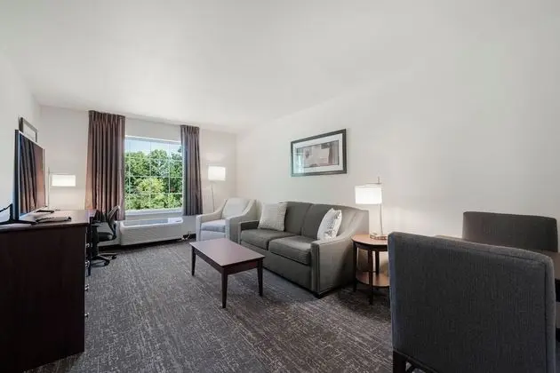 Suite, 1 King Bed with Sofa bed, Non Smoking