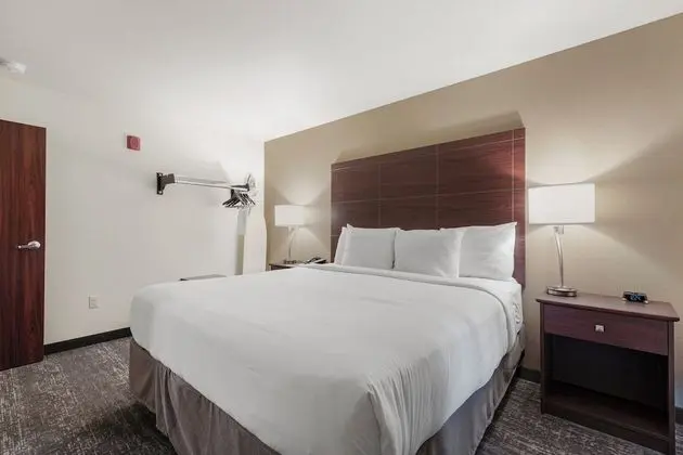 Suite, 1 King Bed with Sofa bed, Non Smoking