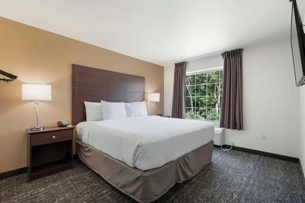 Suite, 1 King Bed with Sofa bed, Non Smoking