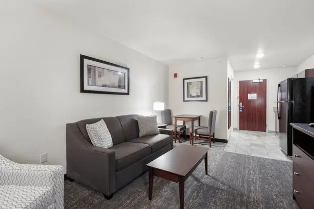Suite, 1 King Bed with Sofa bed, Non Smoking