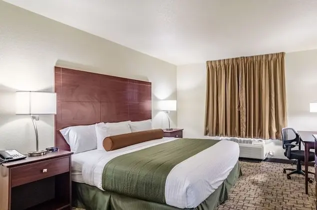 Süit, Birden Çok Yatak, Sigara İçilmez (Extended Stay)