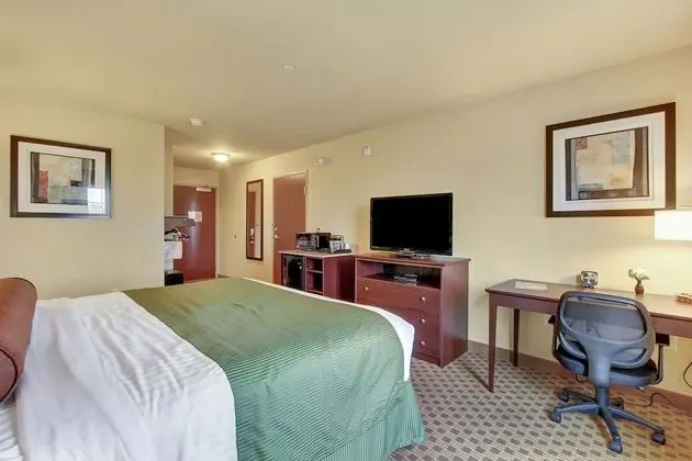 Oda, 1 En Büyük (King) Boy Yatak, Engellilere Uygun, Sigara İçilmez
