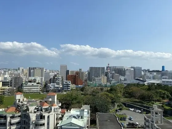 Standard İki Ayrı Yataklı Oda, 2 Yatak Odası, Sigara İçilmez, Şehir Manzaralı