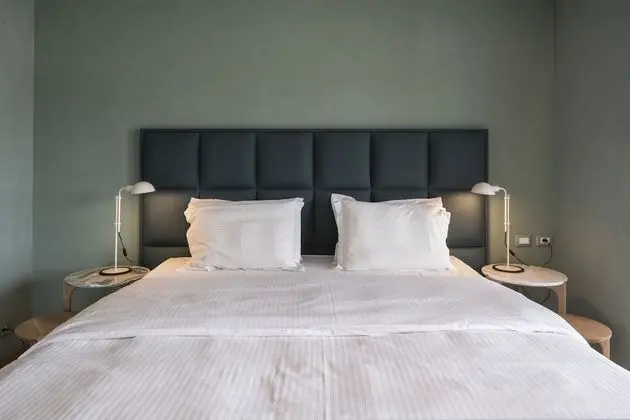 Stüdyo Süit (Acropolis View)