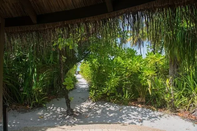 Villa (Beach)