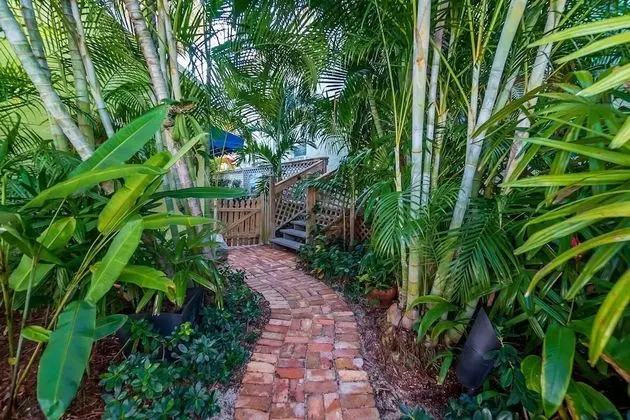 Ev (Coco Plum Cottage Vacation Rental of )