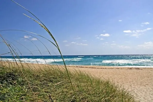 Ev (Coco Plum Cottage Vacation Rental of )