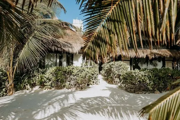 Ocean view Room Beach Zone