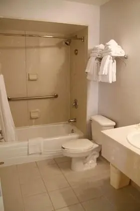Standard Süit, 1 Büyük (Queen) Boy Yatak ve Çekyat, Engellilere Uygun
