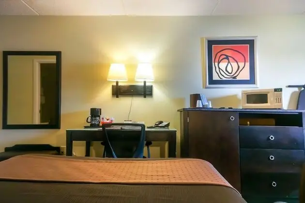 Deluxe Tek Büyük Yataklı Oda, Sigara İçilmez
