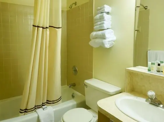 Deluxe Tek Büyük Yataklı Oda, Sigara İçilmez