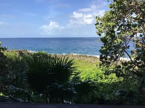 Mangrove Suite - Premium Studio, 2 Double Beds, Oceanview, 2nd Floor Unit
