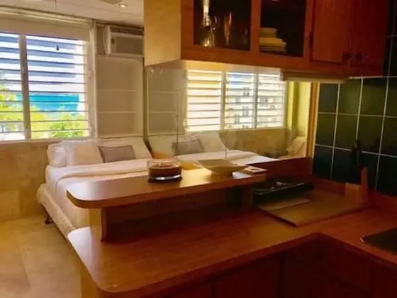 Deluxe Stüdyo, 1 Çift Kişilik Yatak, Küçük Mutfak, Plaj Manzaralı