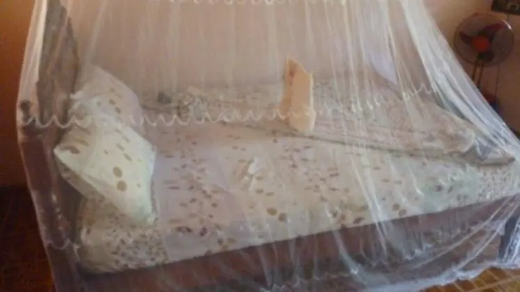 Bungalov, 1 Yatak Odası, Sigara İçilmez, Bahçe Manzaralı