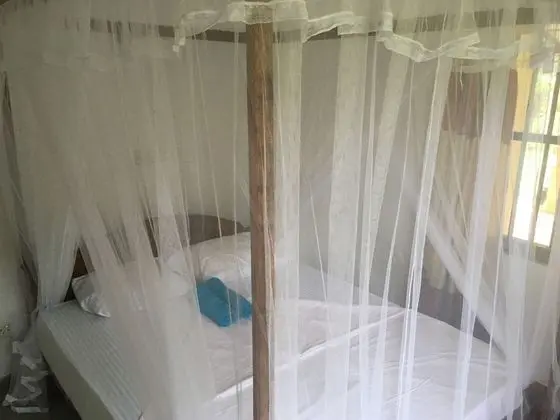 Comfort Tek Büyük Yataklı Oda, Bahçe Manzaralı, Bahçeli