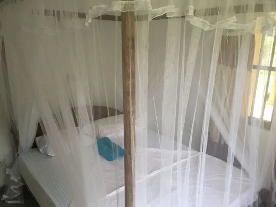 Comfort Üç Kişilik Oda, Bahçe Manzaralı, Bahçeli