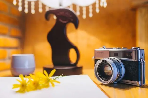 Deluxe Bungalov, Bahçe Manzaralı