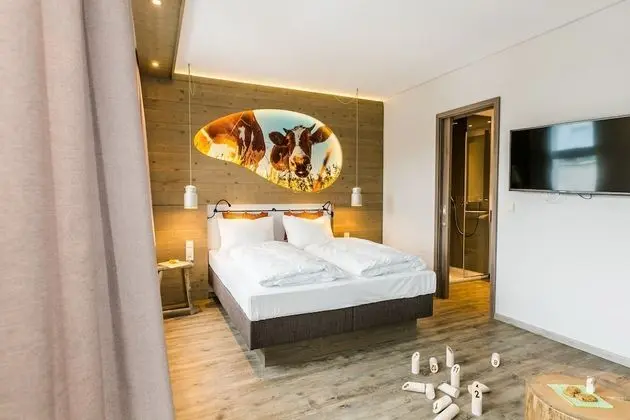 Premium Tek Büyük Yataklı Oda, Teras