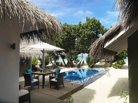 Cocoon Suite