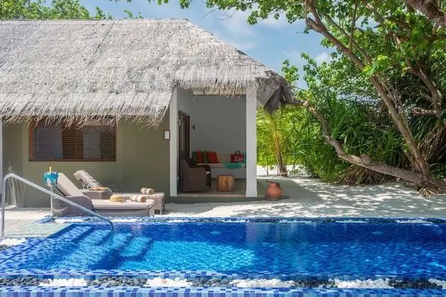 Cocoon Suite