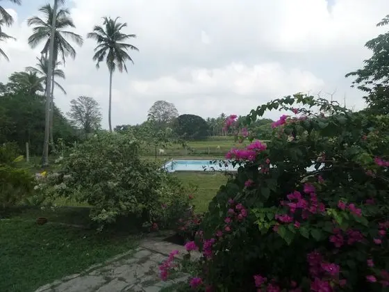 Deluxe Tek Büyük Yataklı Oda, Göl Manzaralı, Göl Kenarı