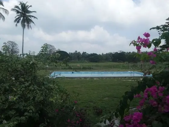 Luxury Üç Kişilik Oda, Göl Manzaralı, Göl Kenarı