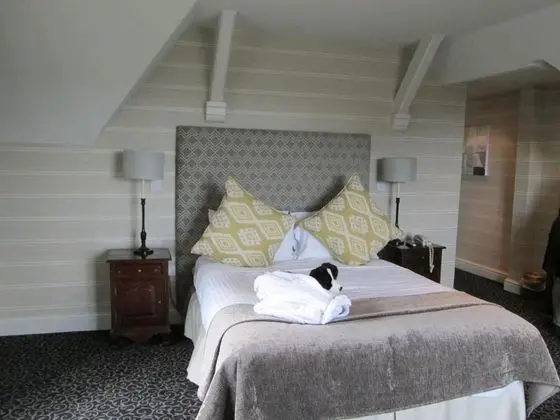 Executive Tek Büyük Yataklı Oda (Coach House)